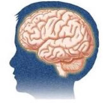 we help businesses improve their performance